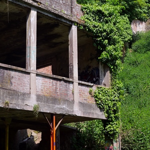 Construction abandonnée envahie par les plantes - France  - collection de photos clin d'oeil, catégorie rues